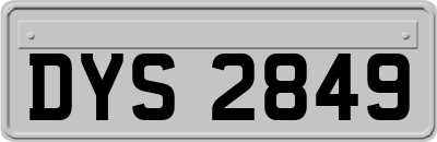 DYS2849