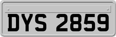 DYS2859