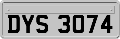 DYS3074
