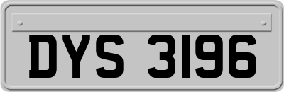 DYS3196