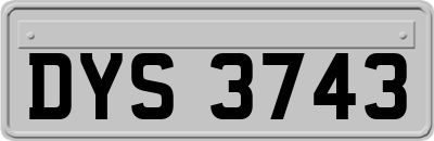 DYS3743