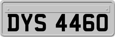 DYS4460
