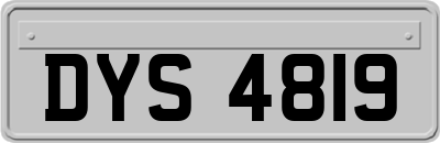 DYS4819