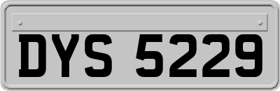 DYS5229