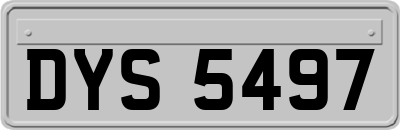 DYS5497