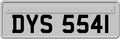 DYS5541