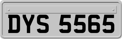 DYS5565