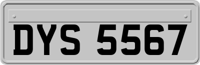 DYS5567