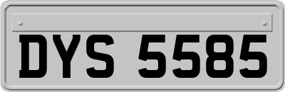 DYS5585