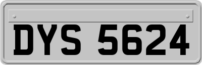 DYS5624