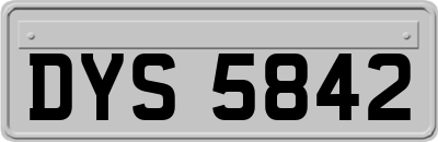DYS5842