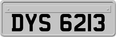 DYS6213