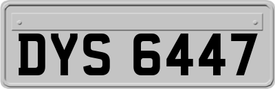 DYS6447