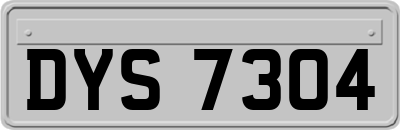 DYS7304
