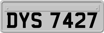 DYS7427