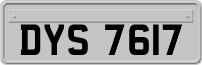 DYS7617