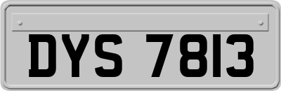 DYS7813