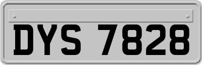DYS7828