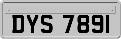 DYS7891