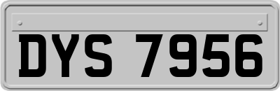 DYS7956
