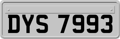 DYS7993