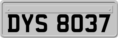 DYS8037