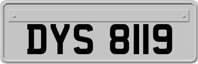 DYS8119