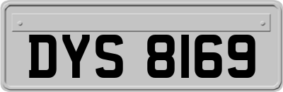 DYS8169