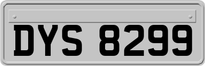 DYS8299