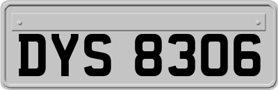 DYS8306