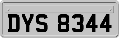 DYS8344