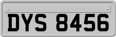 DYS8456