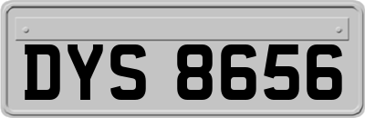 DYS8656