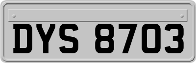 DYS8703