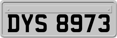 DYS8973