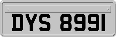DYS8991