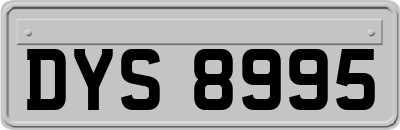 DYS8995