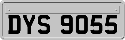 DYS9055
