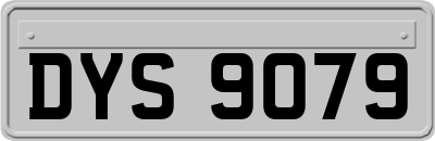DYS9079