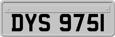 DYS9751
