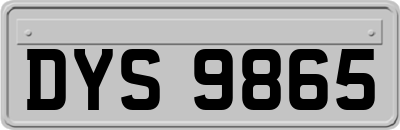 DYS9865