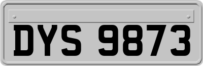 DYS9873