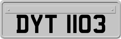 DYT1103