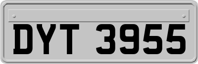 DYT3955