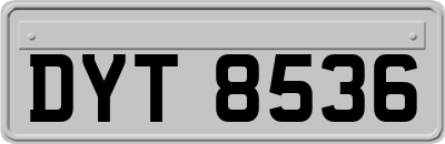 DYT8536