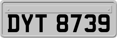 DYT8739