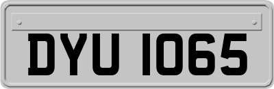 DYU1065