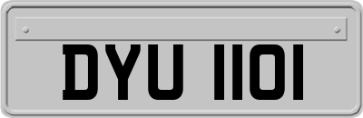 DYU1101