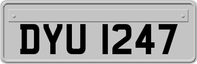 DYU1247