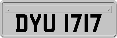 DYU1717